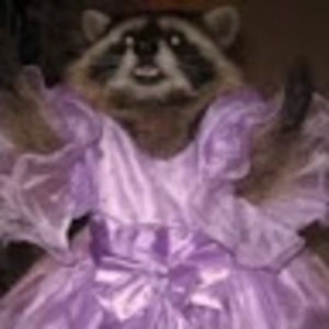 Meet your Posher, Audrey